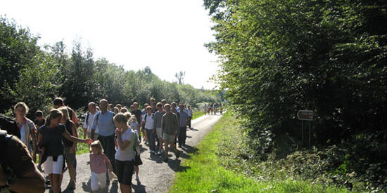 IMG_4049_cor.jpg IMG_4049_cor.jpg